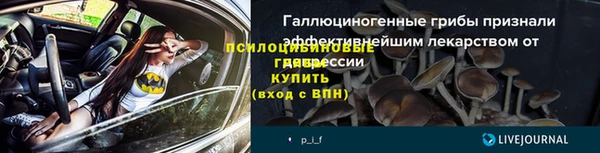 дурь Майский