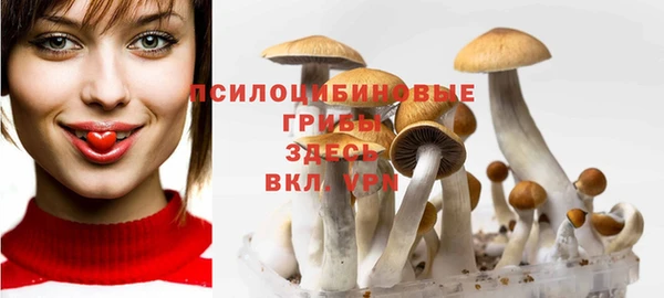 спайс Медвежьегорск