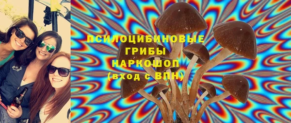герыч Мегион