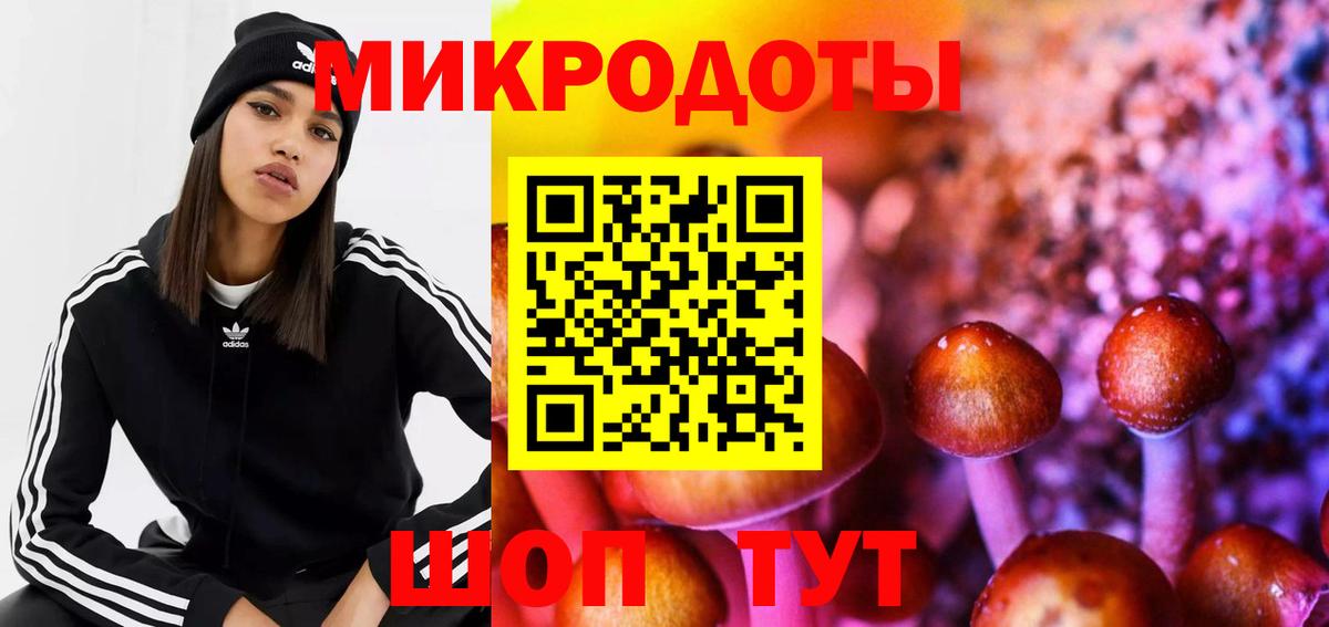 как найти наркотики  Галлюциногенные грибы Psilocybe  Магнитогорск  Вход с VPN  Галлюциногенные грибы прущие грибы 